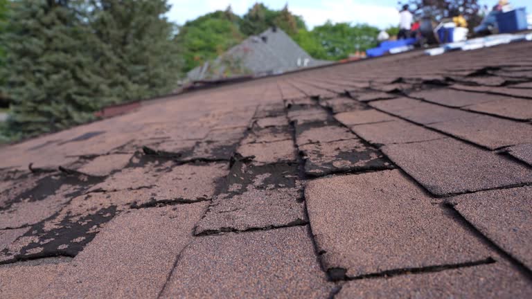 Best Asphalt Shingles Roofing  in Bourbon, MO